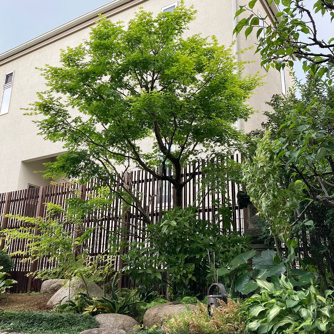 株式会社 森住造園