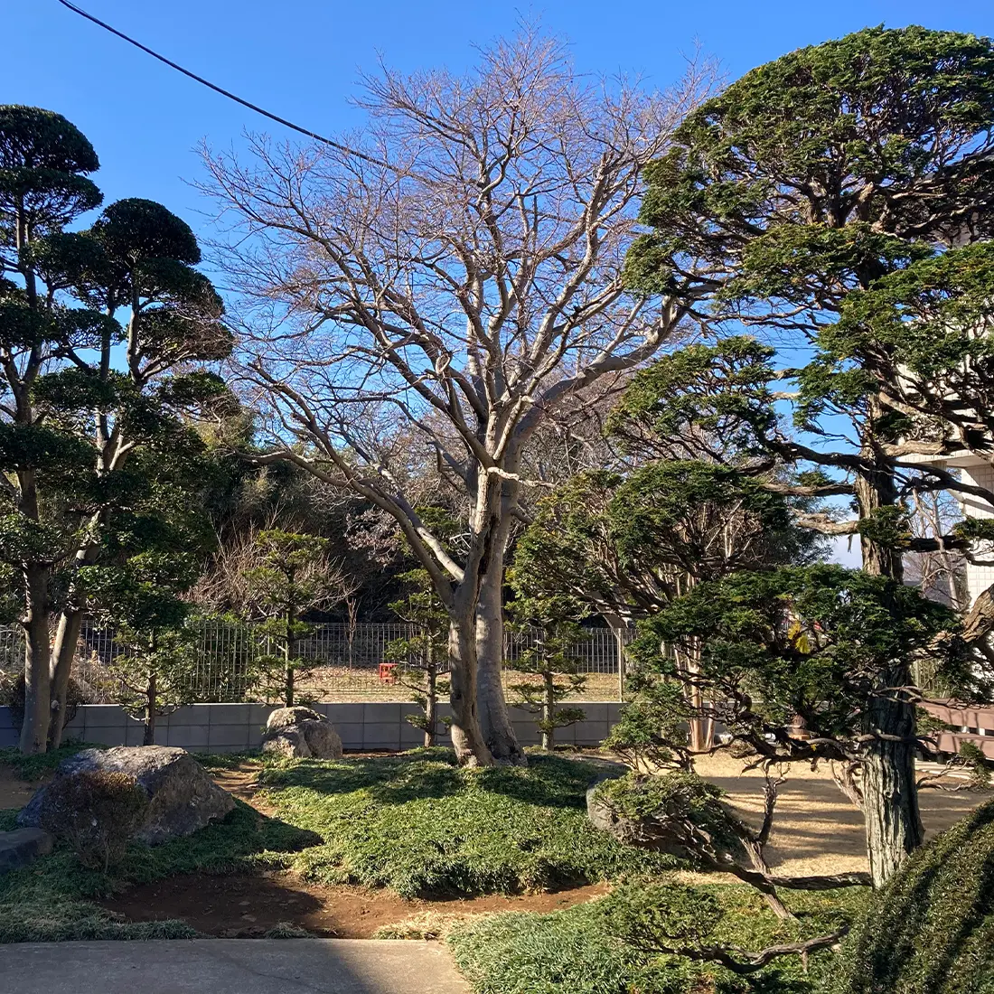 株式会社 森住造園